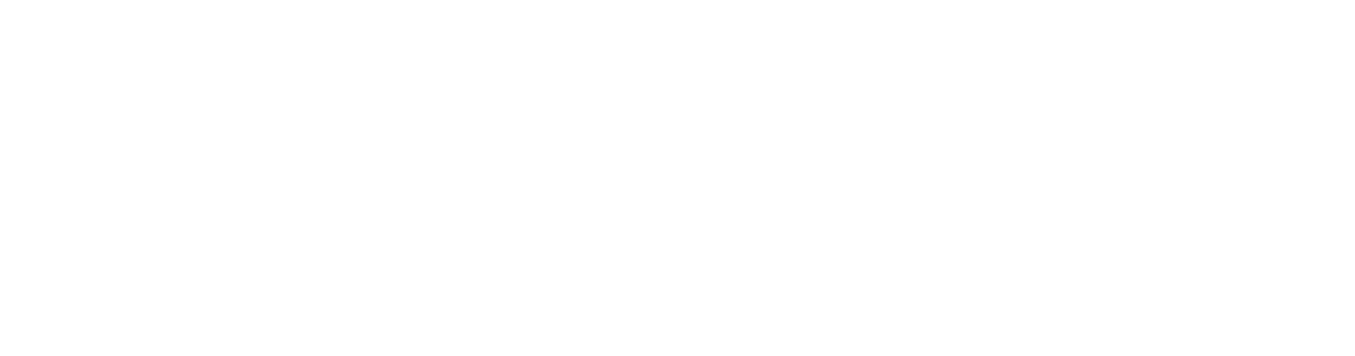 Particlez Logotipo